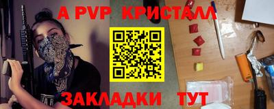 стаф Ярославль